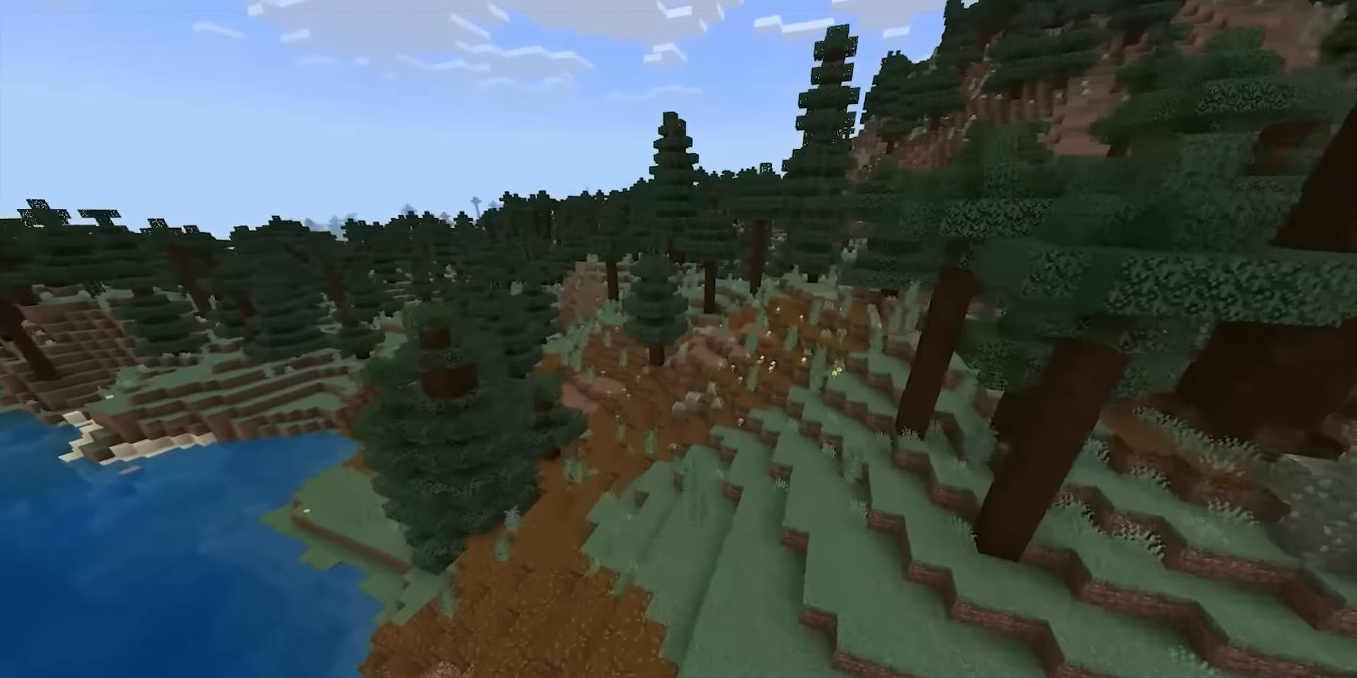 Minecraft Taiga Forest